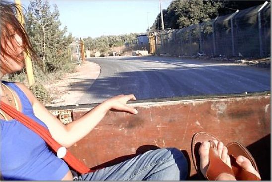 volunteer in Israel