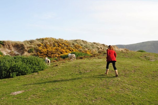 Cricket in Australia