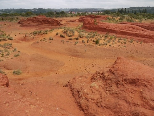 Visiting the Desert in South Africa - Pink Pangea