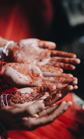  My Future as an Indian Wedding Crasher