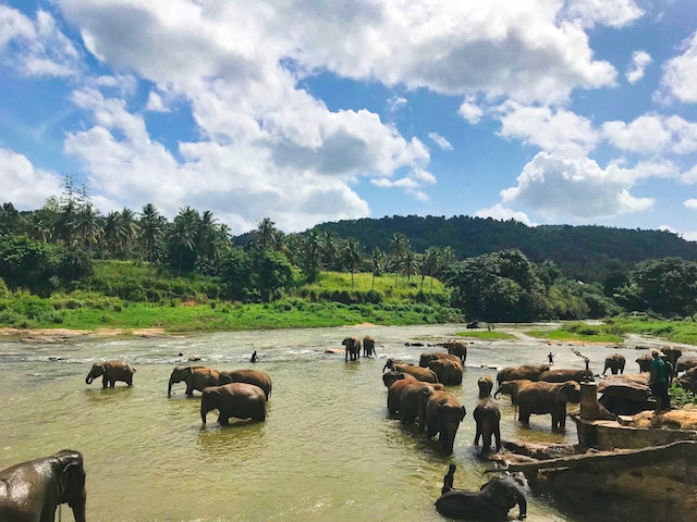 Standing out as an American Tourist in Sri Lanka