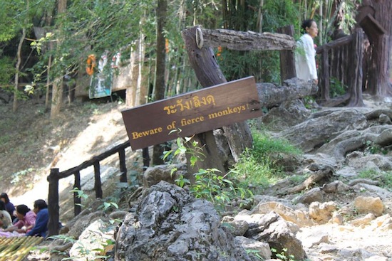 monkeys in Erawan Waterfalls