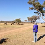 Out of the Cubicle & Into The Wild At A South African Safari