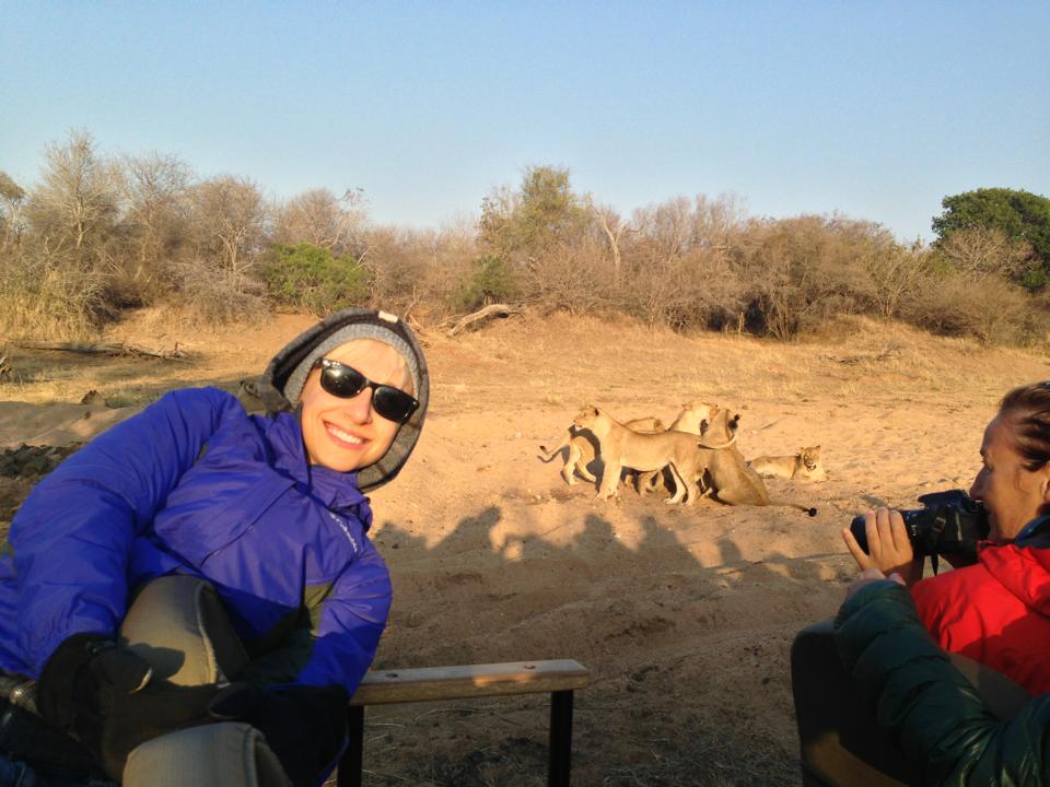 lions in south africa