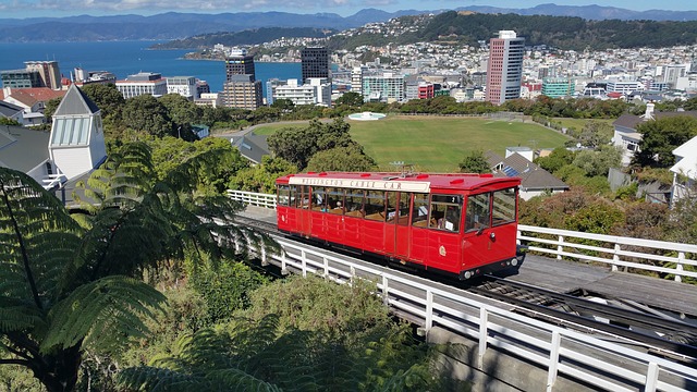 Mountain Biking in Wellington: Another Reason New Zealand's Capital City is Awesome