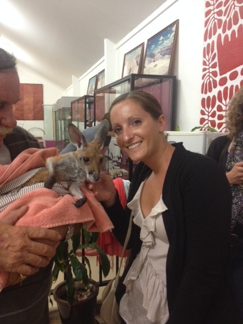 baby kangaroo