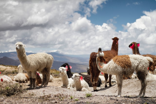 4 Ways to Stay Active in Peru