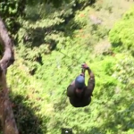 Zipping Across The Costa Rican Jungle and Relaxing by the Beach
