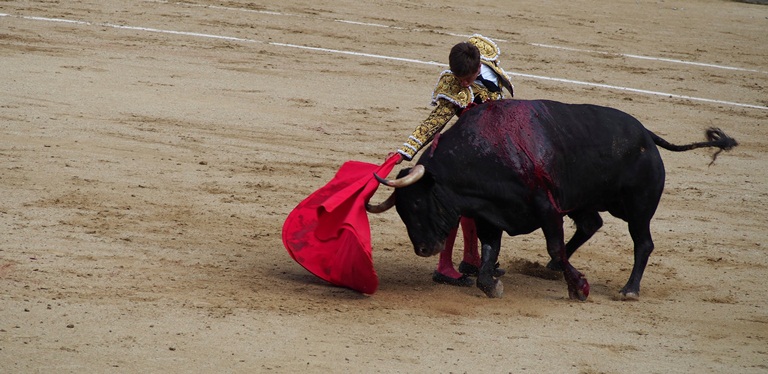 Matador in the bullfighting ring