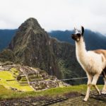Discovering Machu Picchu: In the Footsteps of Hiram Bingham