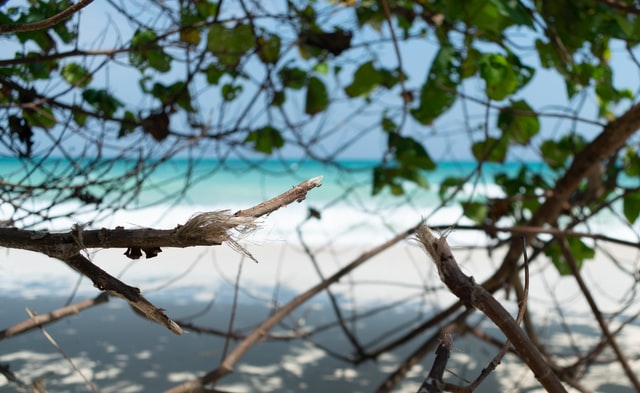 How to Ensure Safe Boat Travel in the Solomon Islands