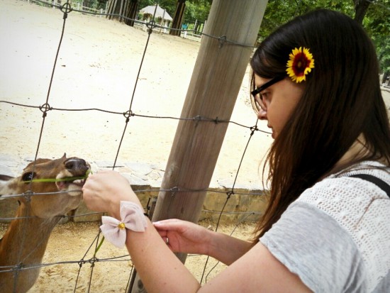 Meeting My Korean Boyfriend's Parents