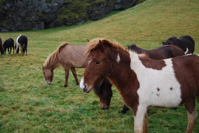 Travel Iceland: A Conversation with Hannah Bachman