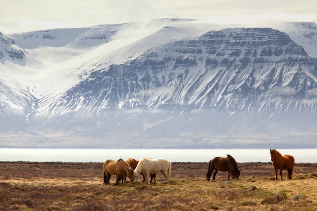 Travel Iceland: In Conversation with Leah Missik