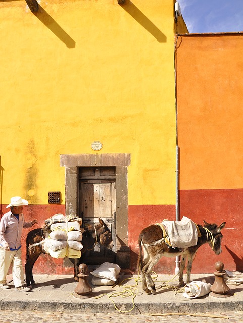 5 Extraordinary Helpful Tips for Living in San Miguel de Allende, Mexico