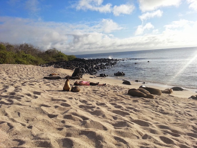 Galapagos Islands Travel: 10 Things I Regret Not Packing
