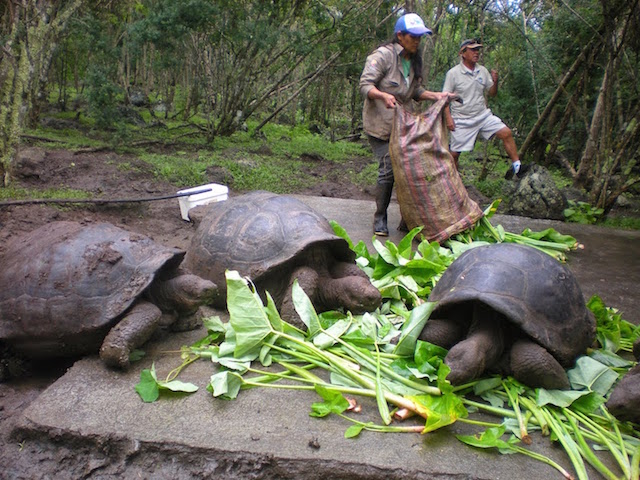 Galapagos Islands Travel: 10 Things I Regret Not Packing