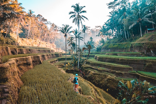 5 Things to Do Beyond Bali Beaches