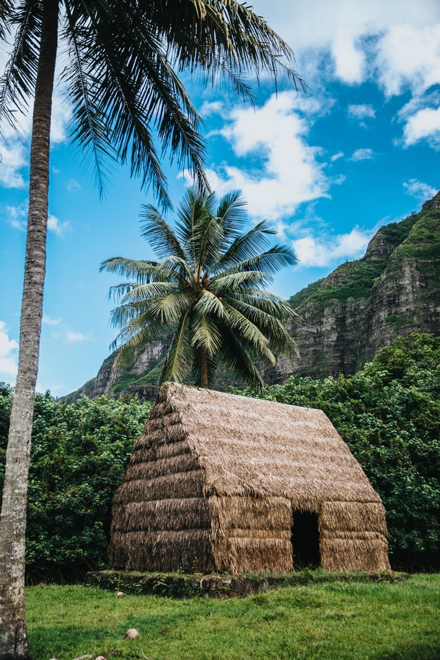 Huts on Hawaii.