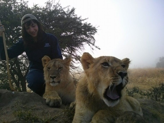 What Surprised Me about Working with African Lions