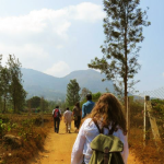 Sustainable Living in India: A Visit to Sadhana Forest