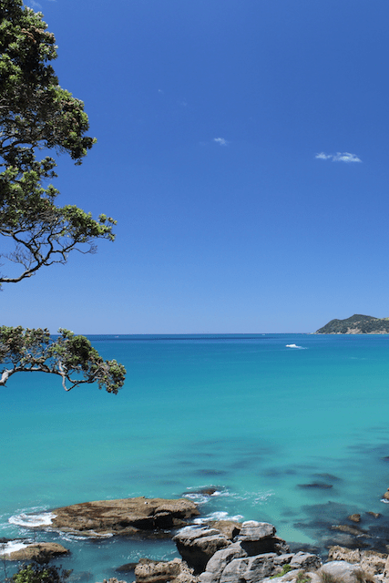 Why I Left Waipu, New Zealand's Beautiful Beach Town