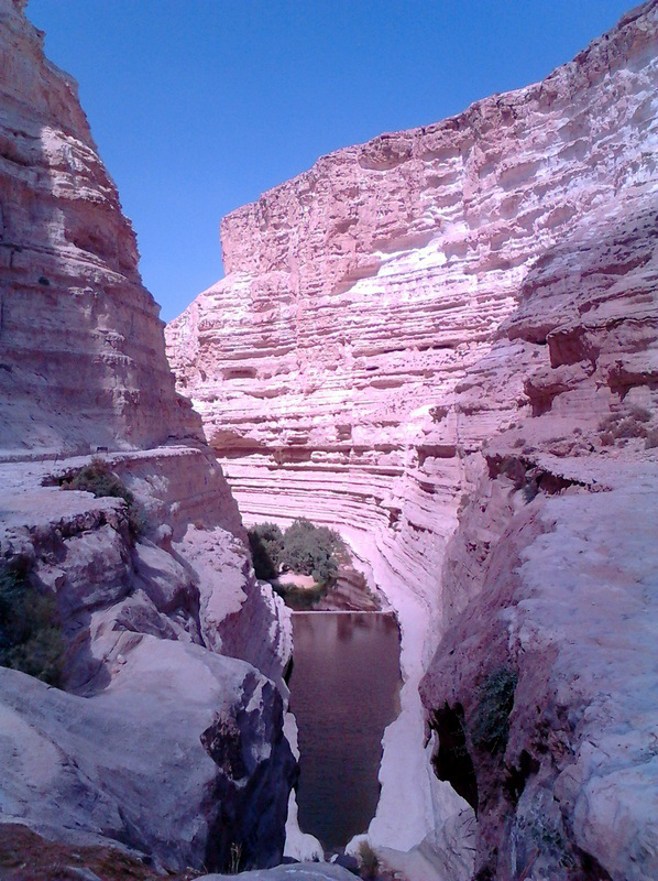 Ein Avdat: A Stunning Hike in Israel's Negev Desert