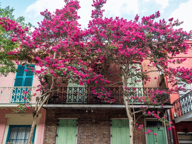 New Orleans Travel: Falling in Love with Two Sides