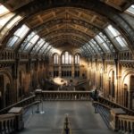 Night in the Museum: Sleepover at the Natural History Museum in London