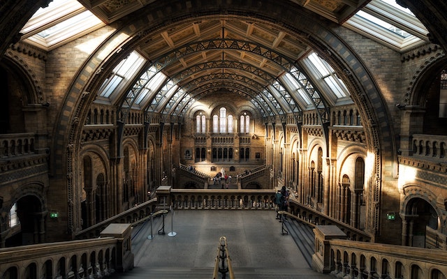 Night in the Museum: Sleepover at the Natural History Museum in London