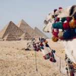 Safari in Egypt: Cleanse Your Mind and Stretch Your Senses