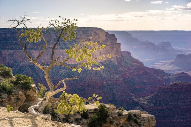 Your Guide to a 27-Hour Trip to Arizona