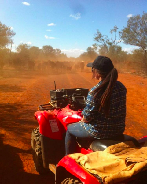 Cattle MusterWhy Working in the Australian Outback is One of the Best Things You’ll Do