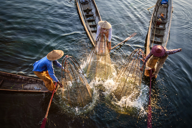 Inle fishermen; photo by Patricia Pomerleau