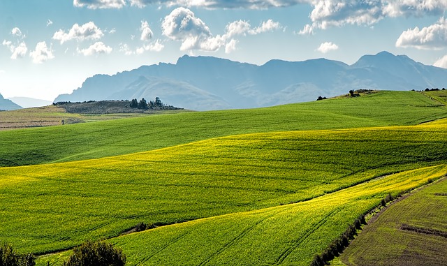 The Magical Place Tourists Miss When They Travel Africa