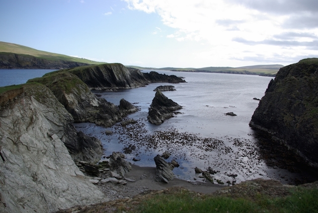 Nature Spotting on the Shetland Islands