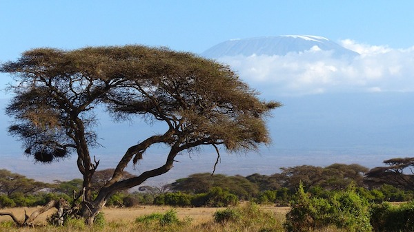 Mother-Daughter Bonding (and Rampaging Animals) in Kenya