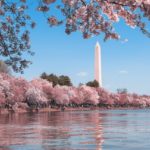 A Feminist’s Guide to Washington DC Attractions