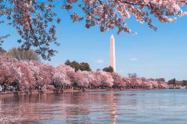 A Feminist's Guide to Washington DC Attractions