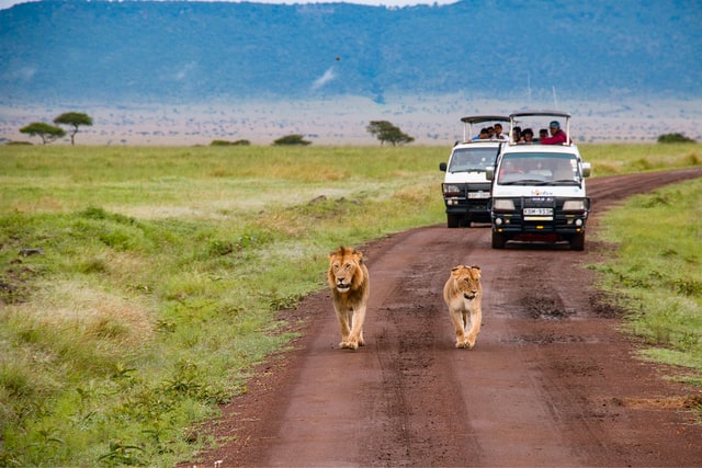 Traveling in Kenya: A Conversation with Susan Portnoy