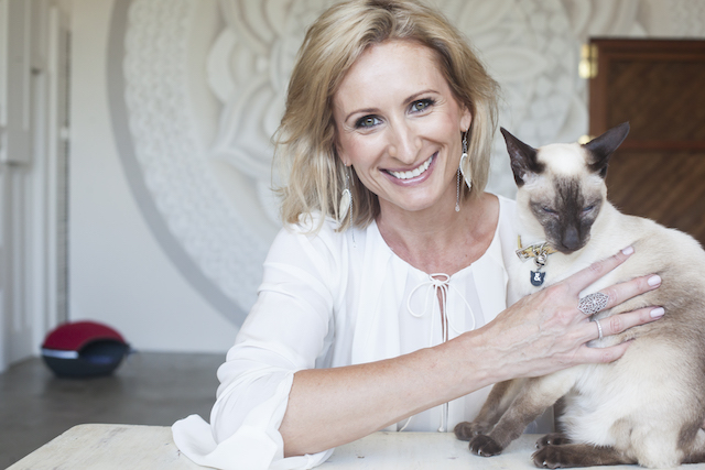 Traveling with Cats: In Conversation with Anneke van den Broek