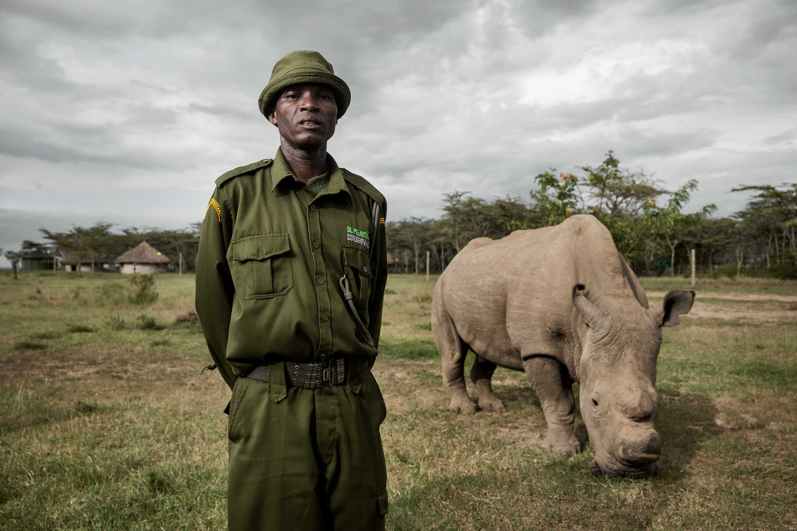 On Endangered Animals and the Human Condition: A Conversation with Tierney Farrell