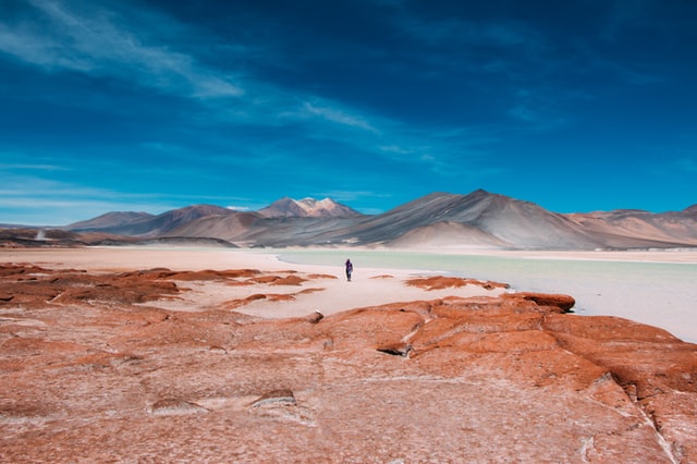 Wonder and Surprise at the Atacama Desert