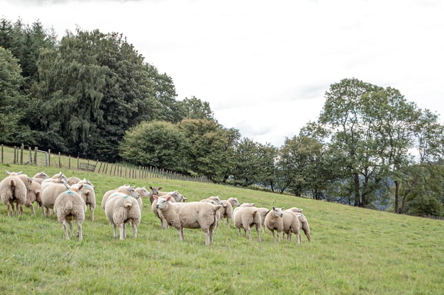 Photography, History and Hiking in Wales: In Conversation with Nancy DeKalb