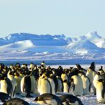 Travel to Antarctica: A Conversation with Divya Nawale