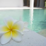 Bali and Flores Indonesia: A Conversation with Carole Terwiliger Meyers