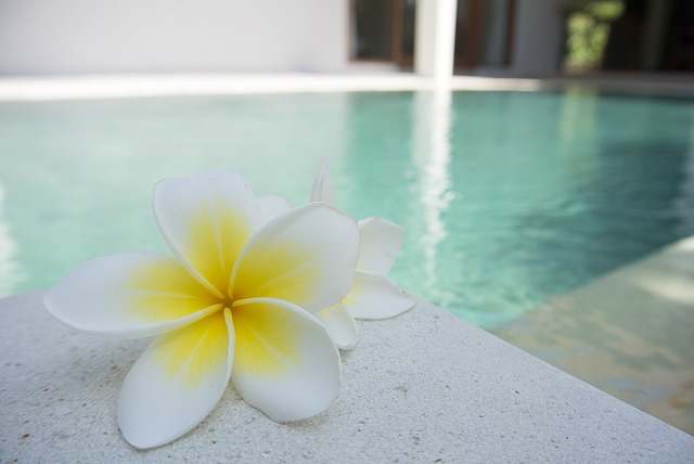 Bali and Flores Indonesia: A Conversation with Carole Terwiliger Meyers