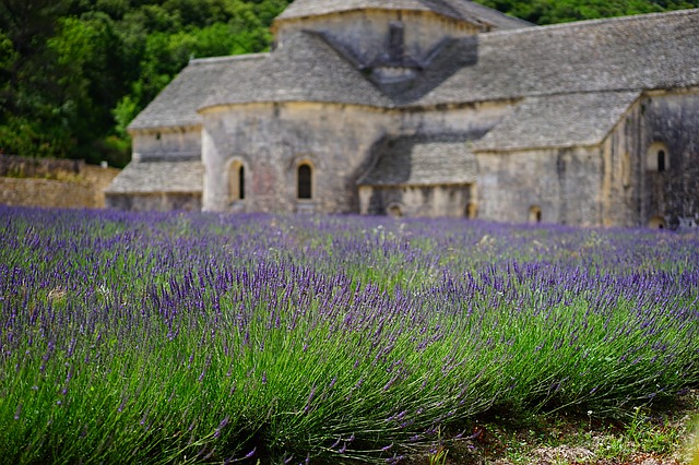 Language and Cooking Classes in France: A Conversation with Janice Chung