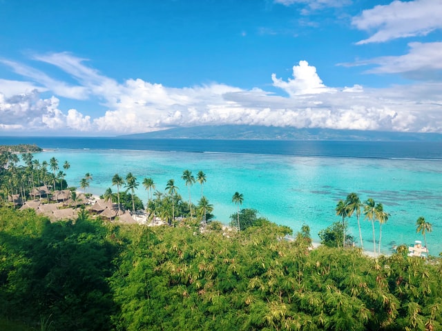 French Polynesia: A Conversation with Carey Driscoll