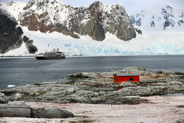 A Last Minute Trip to Antarctica: In Conversation with Alison Mackey